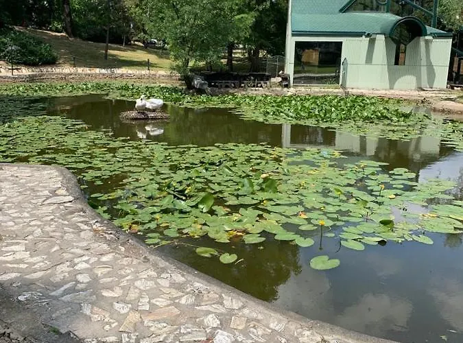 公寓 Stivi Deluxs 2